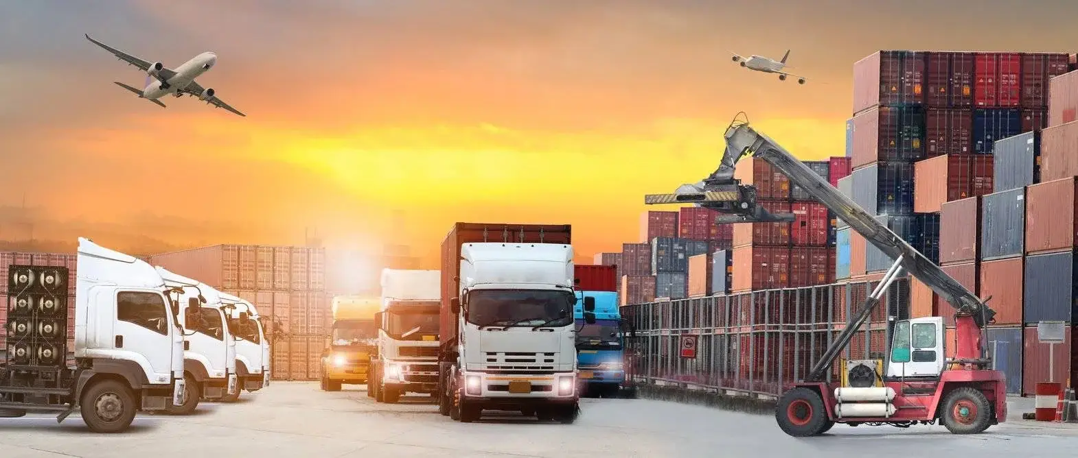 shippingcontainercars (2)